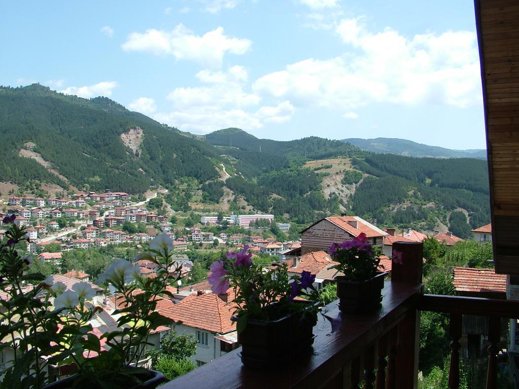 Kisiovi * Devin